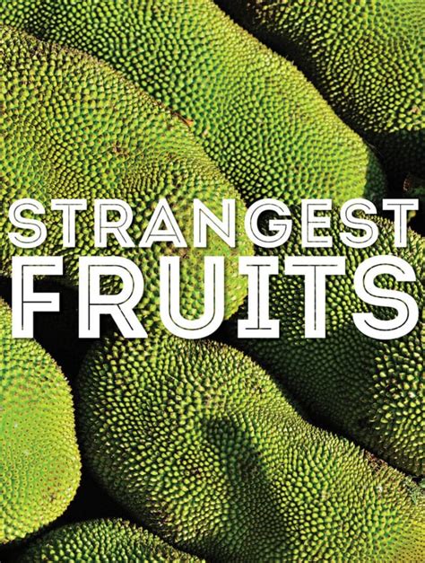 the weirdest fruit|The World’s 35 Strangest Fruits (With Photos!) .